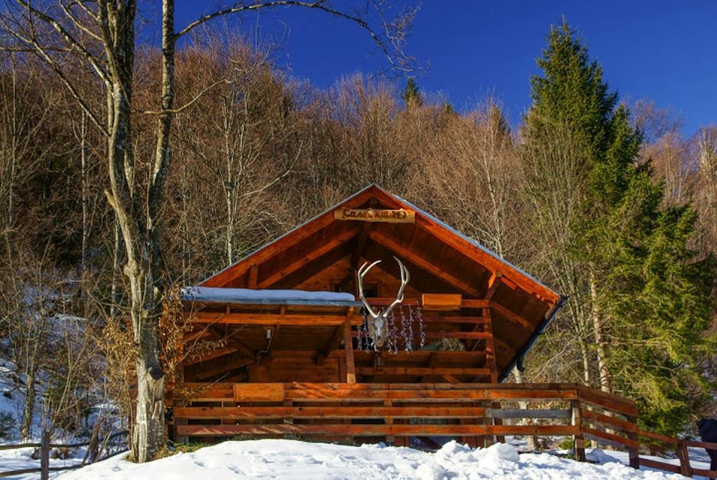 Cabana Casa Craita Zărneşti Habitación foto