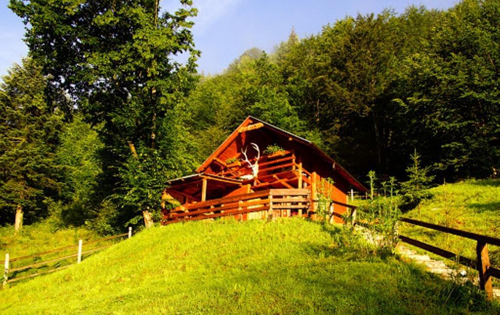 Cabana Casa Craita Zărneşti Habitación foto