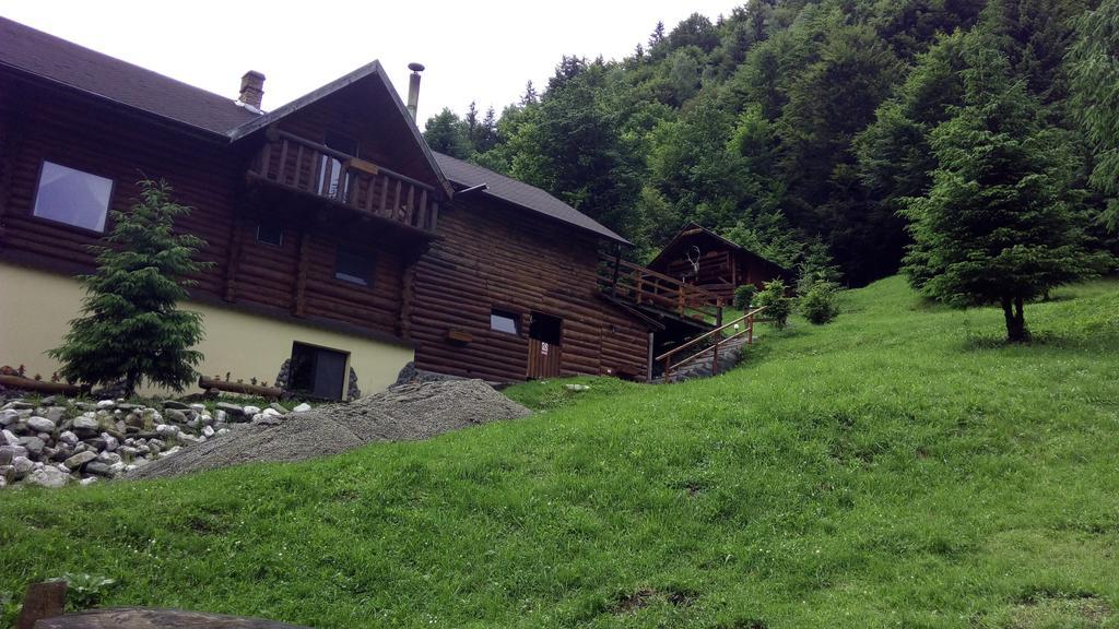 Cabana Casa Craita Zărneşti Exterior foto