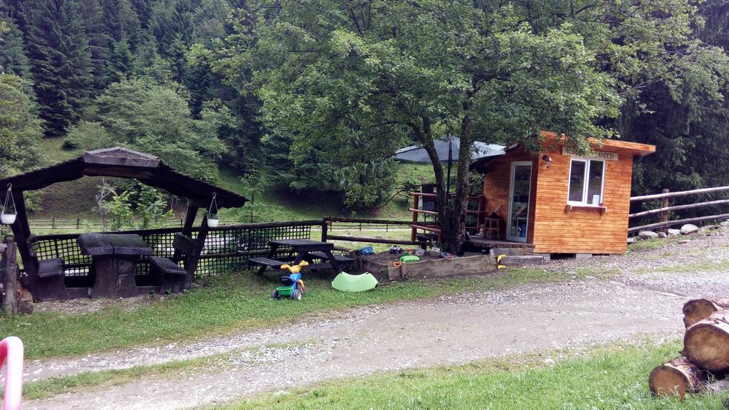 Cabana Casa Craita Zărneşti Exterior foto
