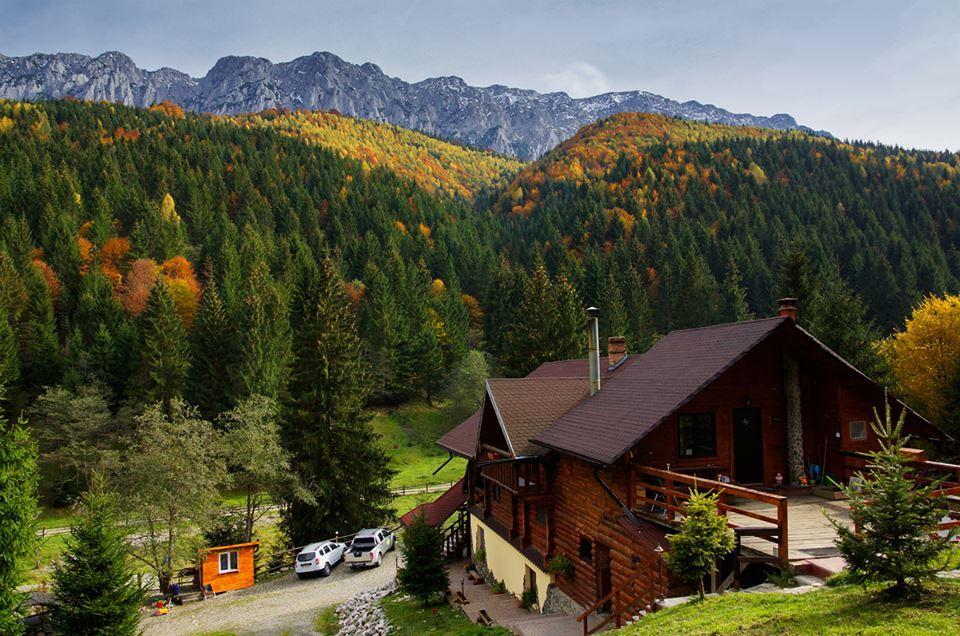 Cabana Casa Craita Zărneşti Exterior foto