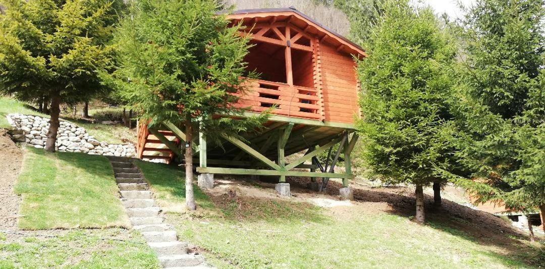 Cabana Casa Craita Zărneşti Exterior foto